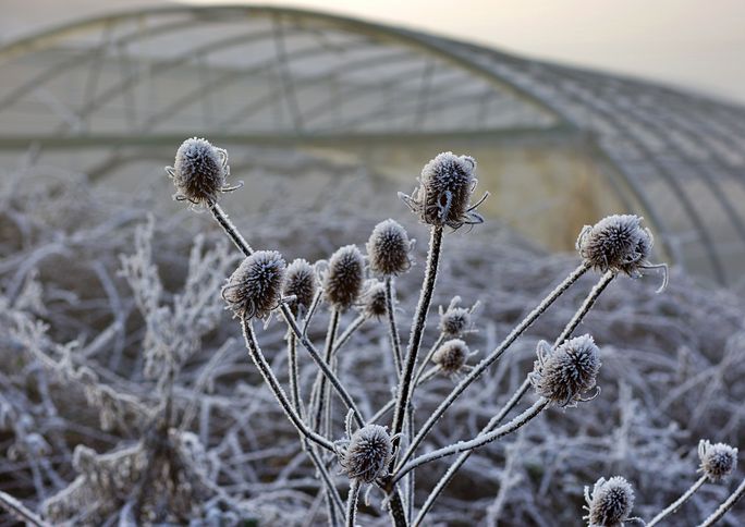Project Farm Winter 20R