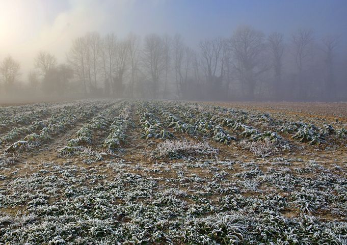 Project Farm Winter 22R