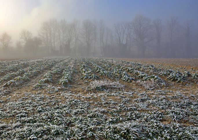 Project Farm Winter 22R