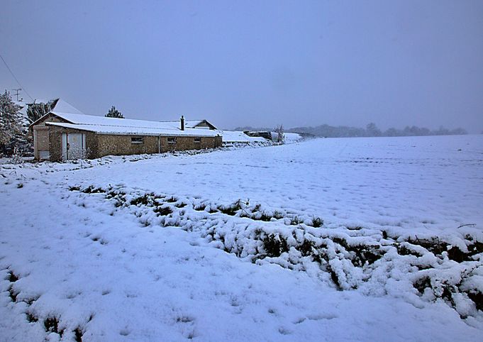 Project Farm Winter 5R