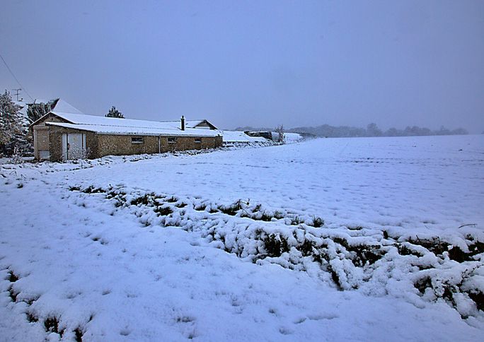 Project Farm Winter 5R