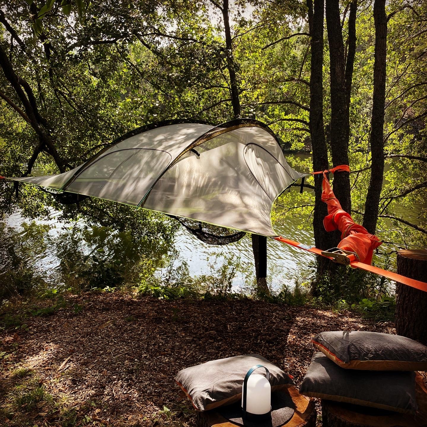 badass tents BA RUGGED Clamshell Roof Top Tent The Best Nose Clips Color:AllWhite tree