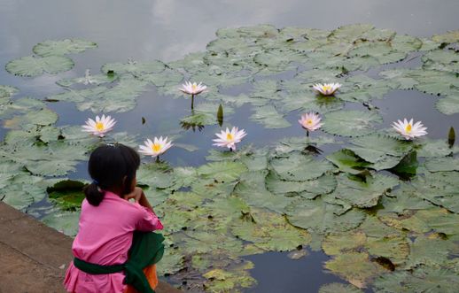 Lotus Lagoon Bali
