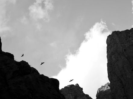 Ain't no mountain high enough 2