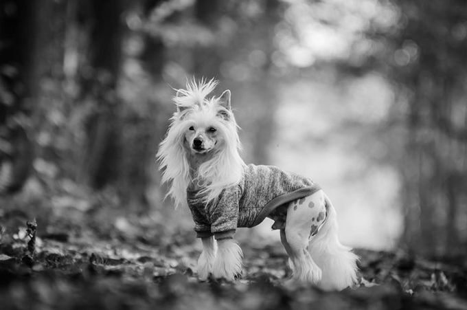 foto genomen door  Gerda Dezitter