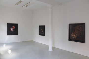 Craigie Horsfield