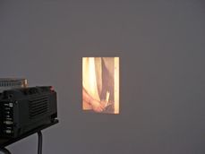 Olivier Foulon