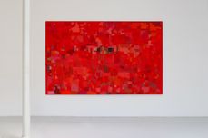 Werner Cuvelier