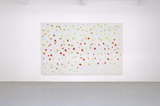 Werner Cuvelier