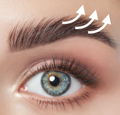 Eyebrow lifting & Powder brows, Microblading
