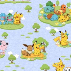 Pokémon