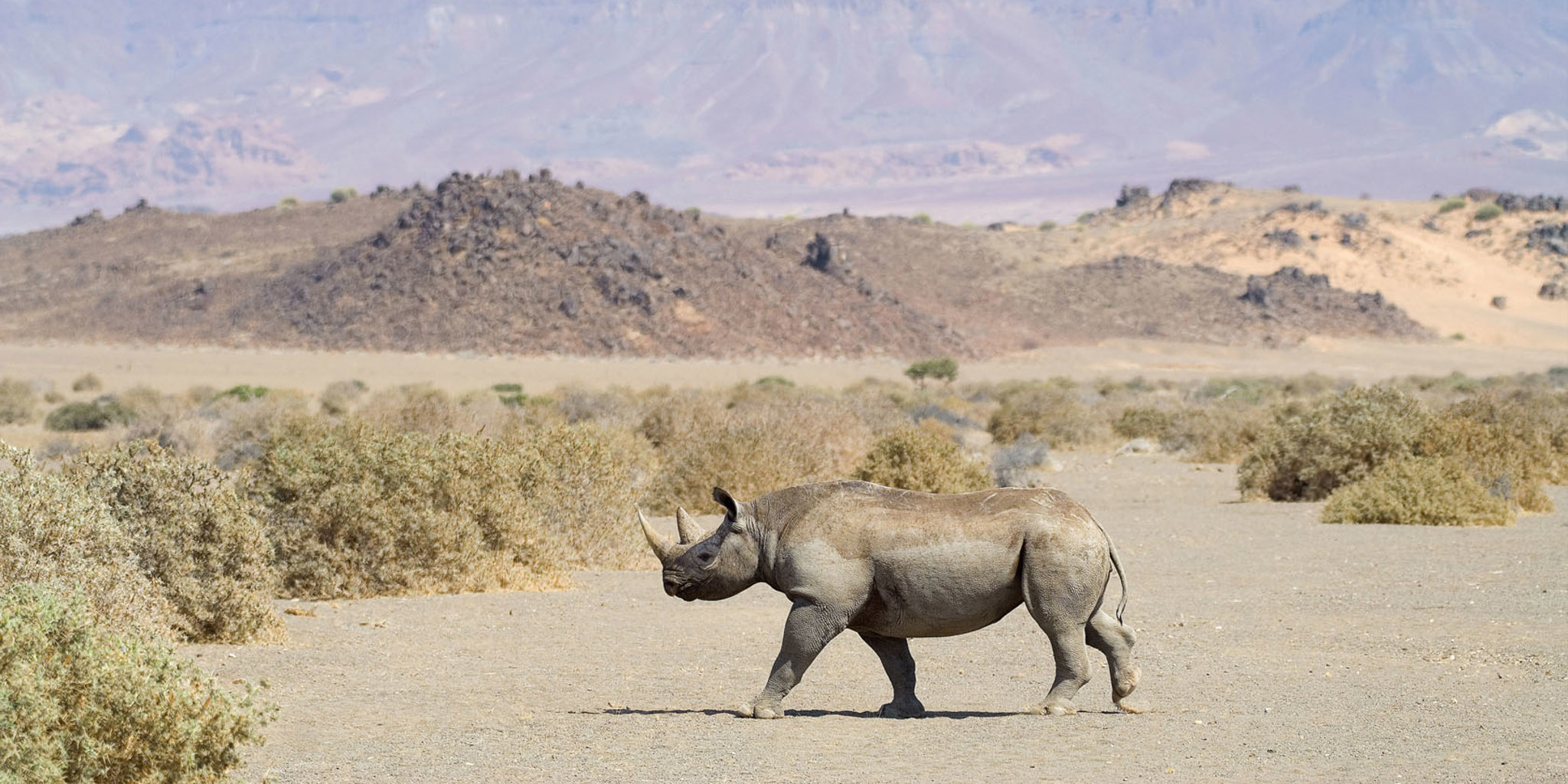 doro-nawas-camp-namibia-yellow-zebra-safaris