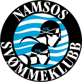 To personer svømmer. Grafikk.