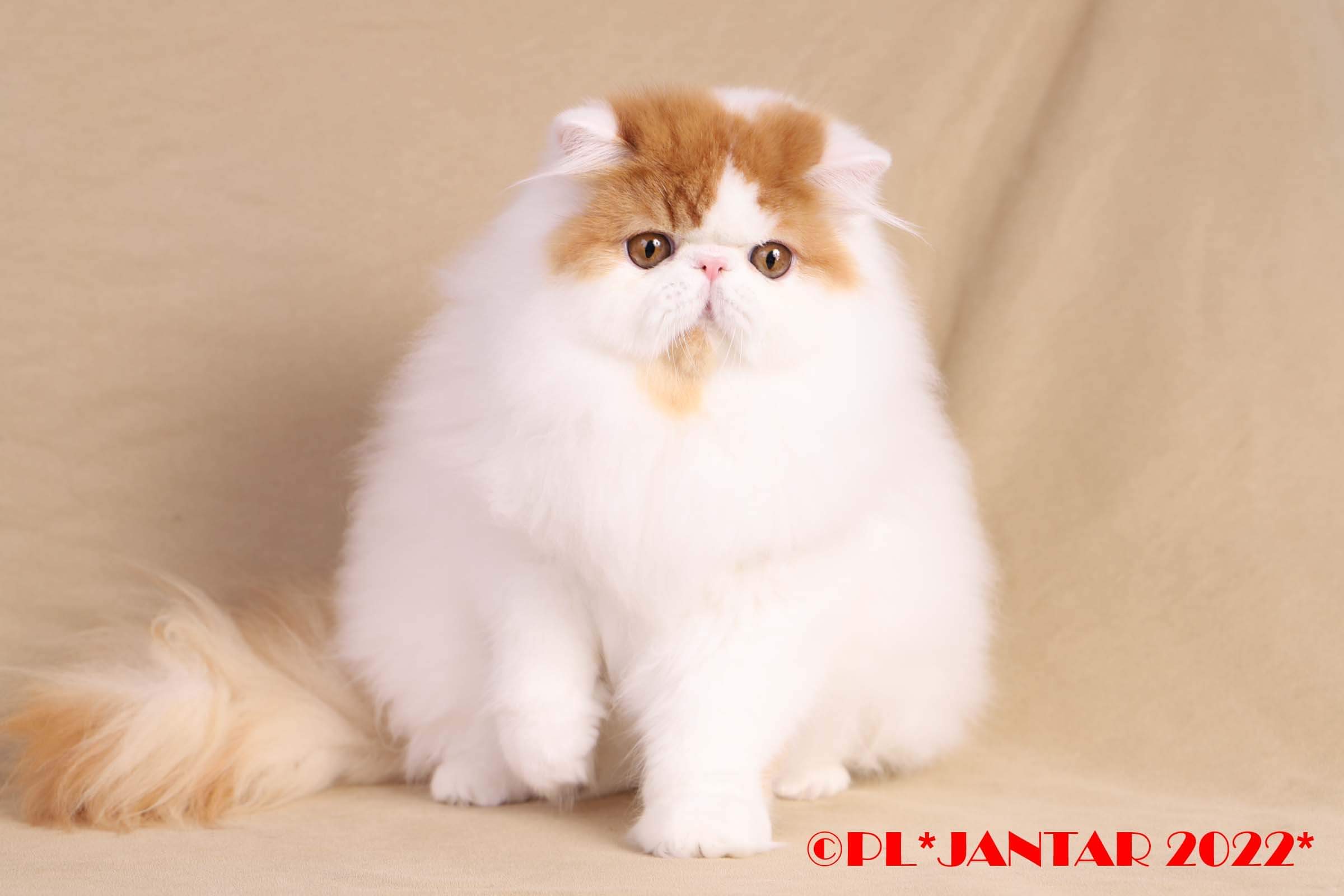 20221127_143025686_iOS