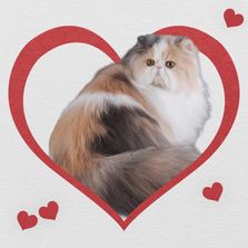 Debbbie