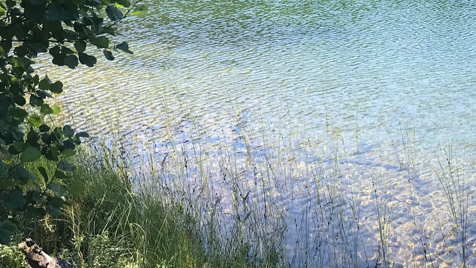 Balestjärn vattnet