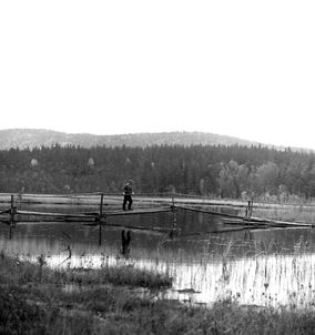 0041 Spången vid Hån -61