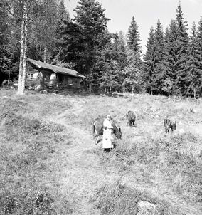 0042 Sveds Anna i Vinberget  -61