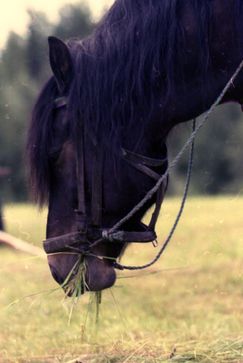 Byns 015_edited