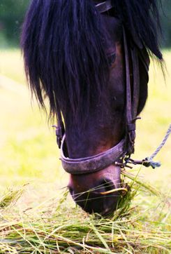 Byns 016_edited