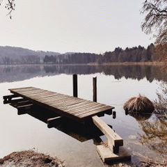 IMG-20210813-WA0033