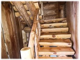 Bild11