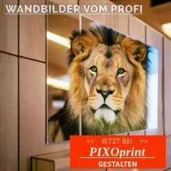 Wandbilder bei pixoprint gestalten
