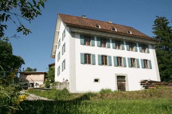 Wohlen5