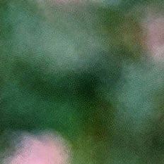 unsplash_gB8ImYoX6fU