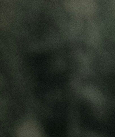 Naturterapien.dk – kontemplation ved vandet
