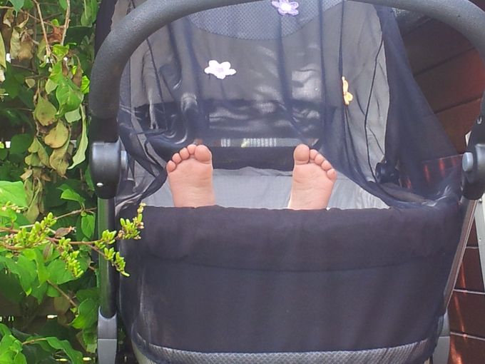 Bare tæer i sommeren -sådan er livet som NaturTrold :-)