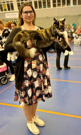 Nawien's Sindragosa Nawien's Sindragosa