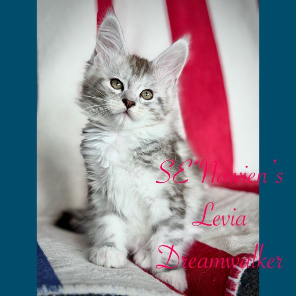SE*Nawien's Levia Dreamwalker