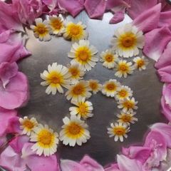 thumbnail_PHOTO-2025-05-01-19-12-50