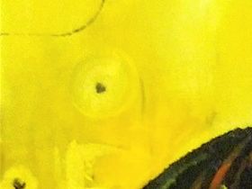 Mother's love, oil on canvas. 350 Euros