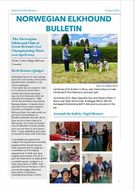 Bulletin 2 April 2024