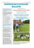 Bulletin 4 September 2024