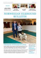 Bulletin 6 March 2025