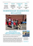 Bulletin 7 May 2025