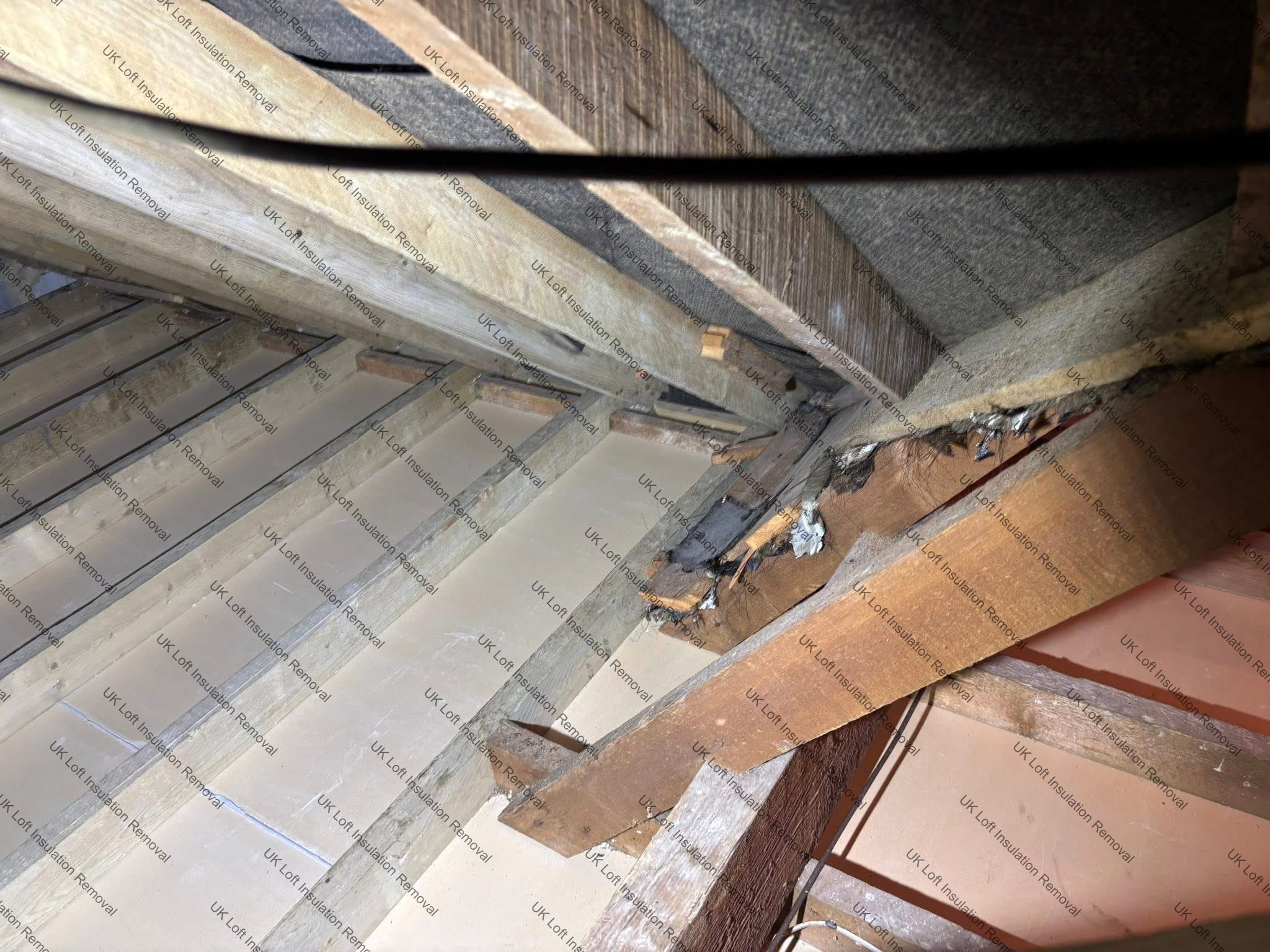 Vermiculite Loft Insulation Removal & Clean