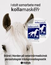 Kolla Masken
