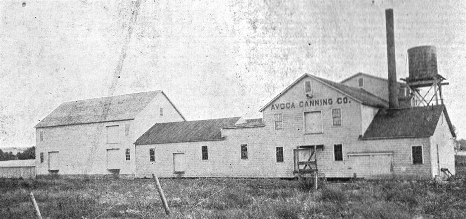 1906 