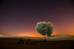Dubai16_0283