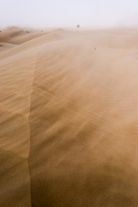 SaH170217_NicoBecker_9137-s