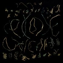 SaH16-17_CopperWire_2542-s