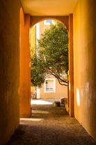 NBK231105_LIsle-sur-la-Sorgue_1380