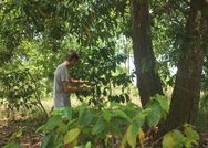 Madagascar Christmas break 2023 D-stress in forest