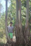 Madagascar Christmas break 2023 D-stress in forest