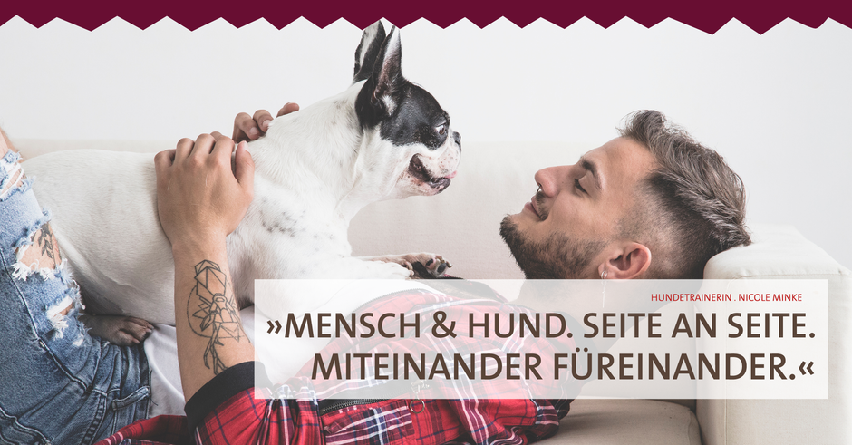 Hundetraining . HP Nicole Minke: junger Mann liegt entspannt mit seinem kleinen Hund auf der Coach