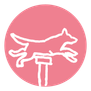 Hunde »Hundetraining« . Nicole Minke . Hundetraining & Co.